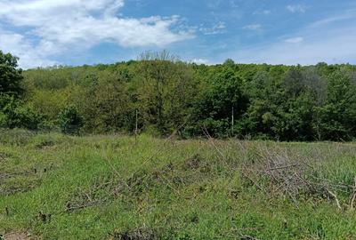 Teren intravilan de 1807 mp, în Țipărești - 2