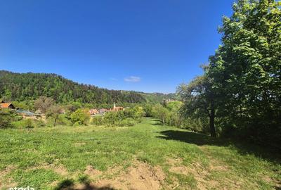 Spațiu comercial, în Schei - 3