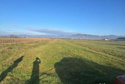 Teren de 1800 mp, în Mocira