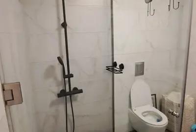 Apartament cu 2 camere decomandat, mobilat în Theodor Pallady - 12