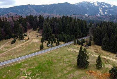 Teren cu potential:1.000 mp,proiect turistic/rezidential,Poiana Brasov - 17