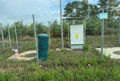 Teren parcelabil cu toate utilitatile 10.000 mp Moșnița Nouă – 18 €/mp - 5