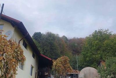 Casă cu 2 camere cu Teren 1500 Mp în Cornu - 1