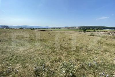 Teren de 3800 mp, în Aghireș - 3