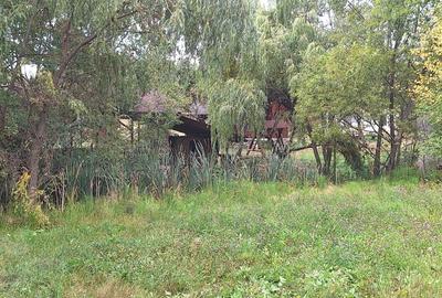 VANZARE ANSAMBLU CASUTE BRADULET ARGES - 8