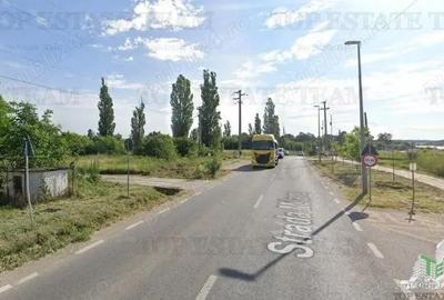 Teren de 3000 mp, în Buciumeni - 2