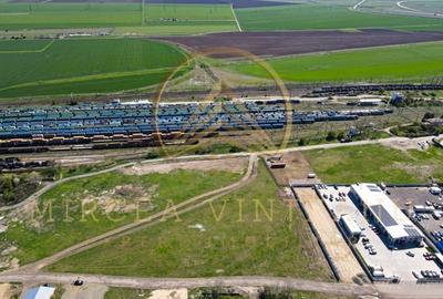 Palas /Vaporaș / Dacia - Renault - Teren intravilan 4100 mp cu deschidere 41 ml. - 8