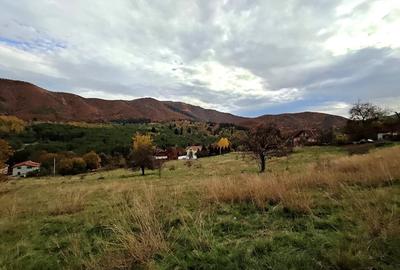 Parcele Teren cu PUZ si toate utilitatile / Cisnadioara-Sibiu - 9