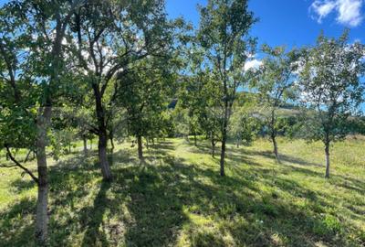 Teren intravilan 500mp Saratel - 9