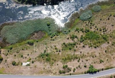 Teren de 2500 mp, în Naipu - 3