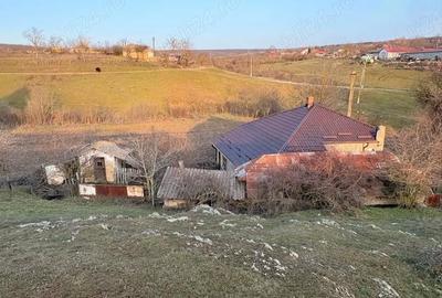 Casă cu Teren 6294 Mp în Cerbu - 3