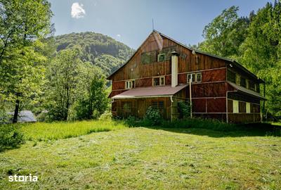 Casă cu Teren 2700 Mp în Brusturoasa - 11