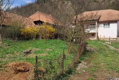 Casă cu 3 camere în Central - 4