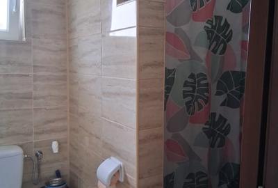 Sanmihaiul Roman - Casa individuala cu 3 dormitoare, complet mobilata si utilata - 12