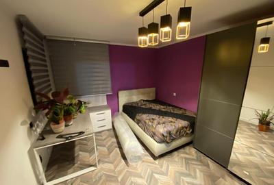 Vila de 4 camere Crangasi - 2