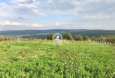 Teren de 6800 mp, în Mogoșești - 18