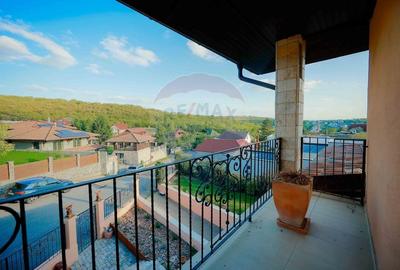 Casa / Vila cu 5 camere de vanzare in zona Dealuri Oradea - 29