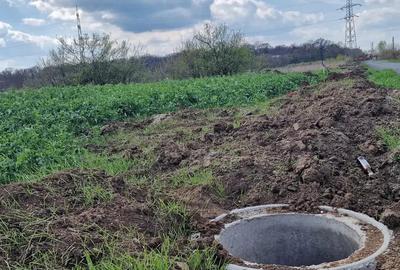 Ideal lotizare-Giarmata Vii- Ghiroda - 3