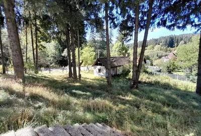 Casă cu 6 camere cu Teren 4950 Mp în Timișu de Sus - 7