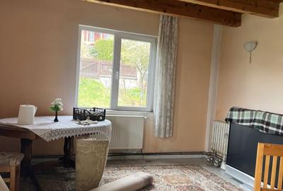 Casă cu 3 camere în Viișoara - 1