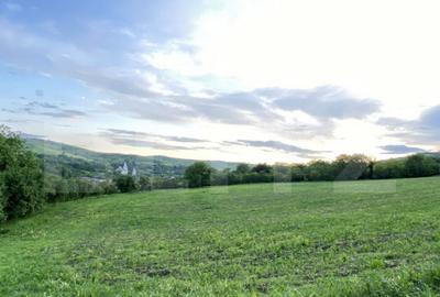 Teren intravilan, 21.450 mp, utilitati, acces autostrada, sa - 3