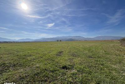 Teren de 28000 mp, în Central - 3