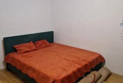 Garsoniera 35 mp Brazda lui Novac Pet Friendly - 5