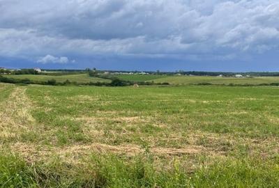 Teren Construcții intravilan de 1884 mp, în Cordău - 2