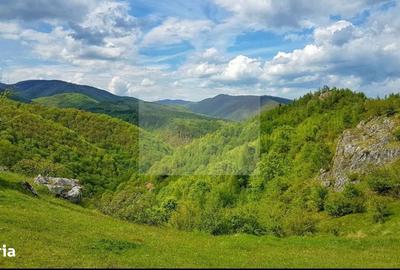 Casă cu 8 camere cu Teren 4851 Mp în Iara - 3