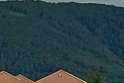 Spațiu comercial, în Central - 3