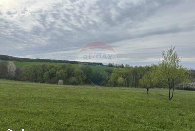 Teren de 3000 mp, în Bodești - 5