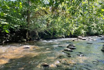 Teren de 2932 mp, în Sârbi (Budești) - 4