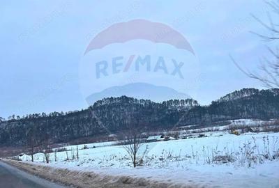 Teren de 17250 mp, în Moșna - 1