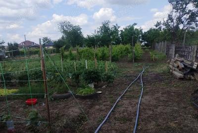 Casă cu 4 camere cu Teren 1600 Mp în Central - 6