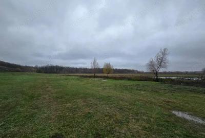 Teren 100.000 mp, Recea-Albota - 2