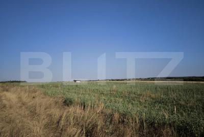 Teren 30.350 mp (600 mp intravilan) - ideal investitie, Carcea Metro - 2