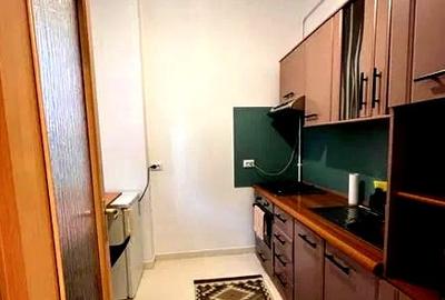 Apartament cu 1 camera de vanzare , finisat modern zona Parcul Armatura - 2