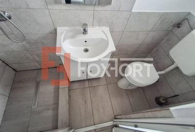 Garsoniera de inchiriat in Timisoara, zona Steaua - curte comuna - 3