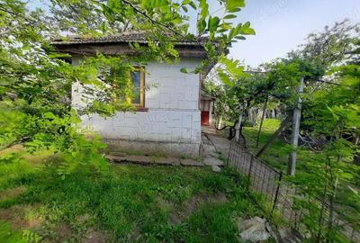 Casă cu 2 camere cu Teren 1282 Mp în Mihăilești - 8