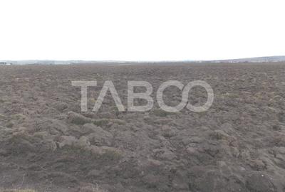 Teren intravilan de vanzare 10.000 mp in zona Industriala Vest Sibiu - 5
