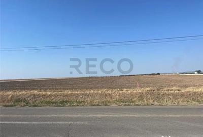 Teren de 5755 mp, în Aeroport - 7