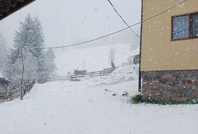 Casă cu 4 camere cu Teren 115 Mp în Albac - 2