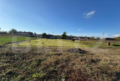 Casa cu 3 camere, 100mp, in Tampa - 8