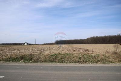 Teren agricol extravilan de 9740 mp, în Nord - 3