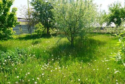 Teren Construcții intravilan de 4076 mp, în Sarasău - 6