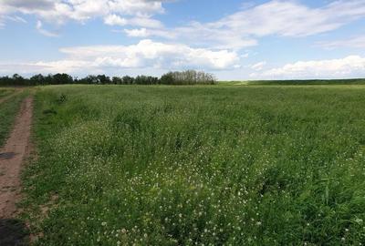 Teren agricol intravilan de 2999 mp, în Central - 1