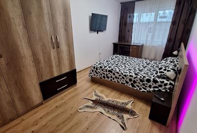 Apartament cu 2 camere decomandat, mobilat în Calea Moldovei - 3