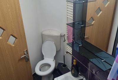 Garsonieră semidecomandată în Traian - 4