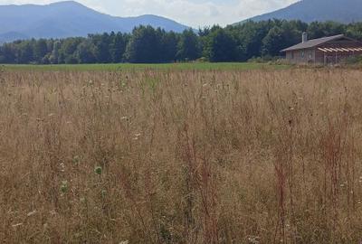 Spațiu comercial, în Sebeș - 4