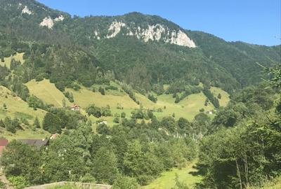 Teren Construcții intravilan de 2694 mp, în Sătic - 1